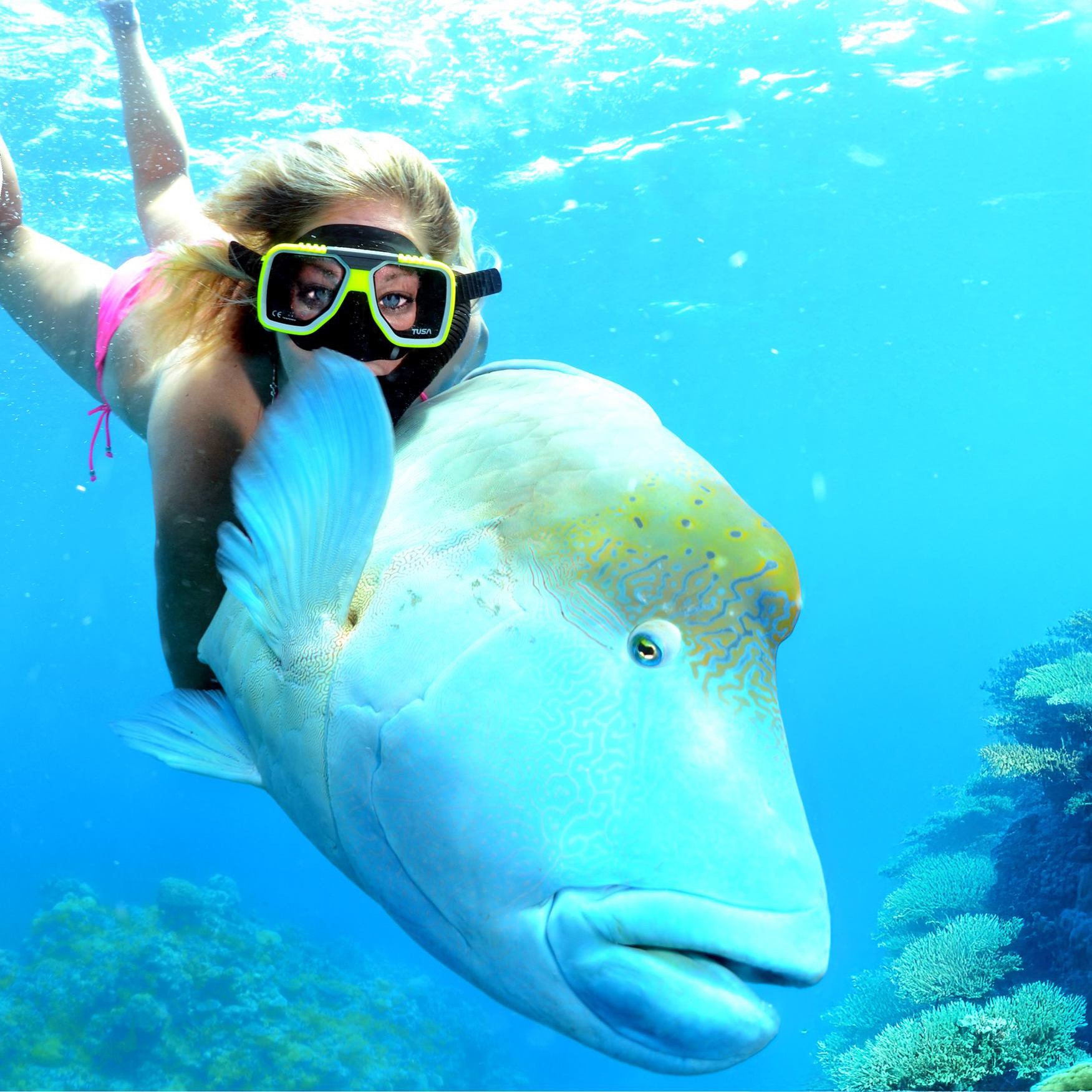 erin-great-barrier-reef